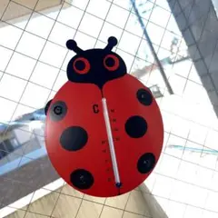新品 温度計 サーモメーター 吸盤付き レディバグ テントウムシ