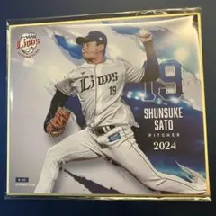 西武ライオンズ トレーディングmini色紙 佐藤隼輔 19