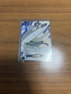 ワンピースカード蒼海の七傑　侵食輪廻グラウンド・デス パラレル　ワンピースカード