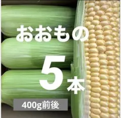 616【ご購入後収穫】400g前後！スイートコーン（おおもの）　5本のサムネイル
