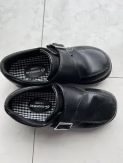 Item thumbnail for item 117054d0-e61b-41e4-8352-6dbe97a8be29