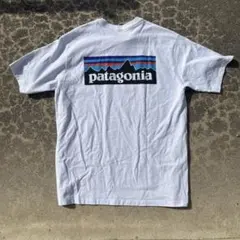 Patagonia Logo Print T-shirSize M