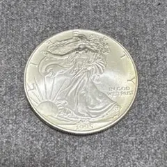 純銀1oz】1995年 シルバーイーグル銀貨 1ドル アメリカ ケース付