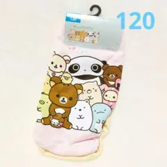 サンエックスキャラクターズ　ショーツ　120cm 　下着　2枚組　新品