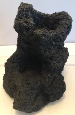 2026年最新】ada アクアデザインアマノの人気アイテム - メルカリ