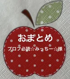 プロフ必読☆みっちー☆様 リクエスト 3点 まとめ商品