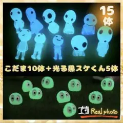 一之瀬様 リクエスト 2点 まとめ商品のサムネイル