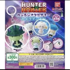 HUNTER HUNTER めじるしアクセサリー　キメラアント編　3種セット