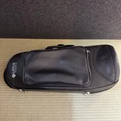 Item thumbnail for item 9a039e44-bf76-4f37-9645-b95f3d988953