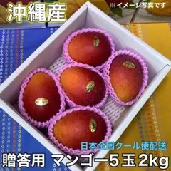 沖縄産★アーウィンマンゴー(贈答用5玉)2kgのサムネイル