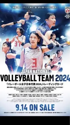 1BOX 火の鳥NIPPON 未開封　バレーボール日本代表2024カード