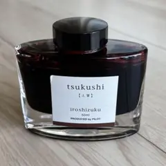 PILOT パイロット 色彩雫 土筆 万年筆 インク 残量8〜9割