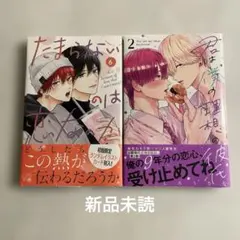 たまらないのは恋なのか6 君は僕の理想の彼氏2