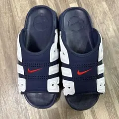 Item thumbnail for item d3a4423b-e78b-4fb9-8231-361e38d767b1