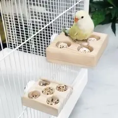 m04 【小型鳥種向け】広くて浅いバード食器mini インコ フォージング