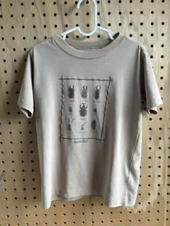 mont-bell 昆虫プリント Tシャツ サイズ30