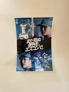 北海道日本ハムファイターズ ステッカー シール 郡司裕也 柳川大晟