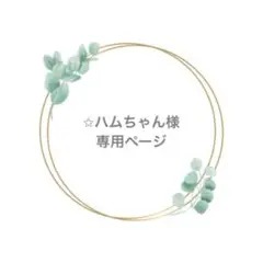 専用ページです