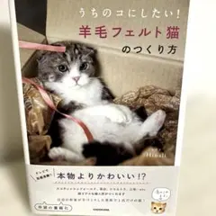 うちのコにしたい！羊毛フェルト猫のつくり方 Hinali