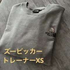 ザノースフェイス スウェット