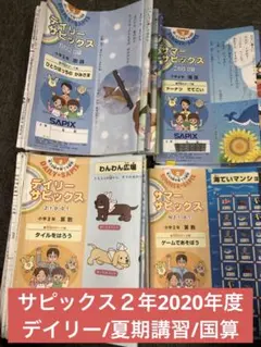 2026年最新】デイリーサピックス 3年の人気アイテム - メルカリ