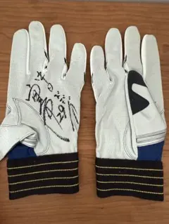 2025年最新】山井大介 サインの人気アイテム - メルカリ