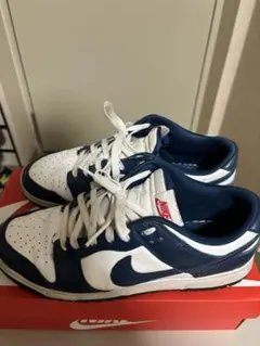 ナイキダンクロー　Nike Dunk low Valerian Blue