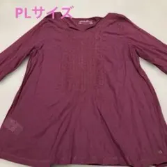 Eddie Bauer チュニック PLサイズ バーガンディ