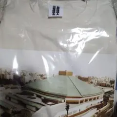 Item thumbnail for item 1488289c-7d4c-42e5-95ca-f02bf06a4b49