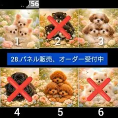 可愛いトイプー、ポメラニアン、パグ、チワワ、シュナウザーパネル生地