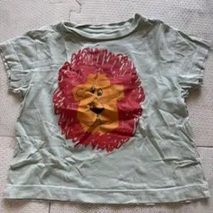 THE ANIMALS OBSERVATORY ライオンTシャツ 18Mのサムネイル