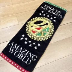 ❇非売品❇I❤EXILE特大バスタオル BATTLE OF TOKYO ～CODE OF Jr.EXILE～』オフィシャルグッズ受注