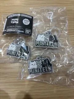 miniteen めじるし　ジュン