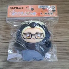 新品未開封 ハイキュー ちみけもますこっと　月島蛍
