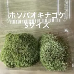 ちんあなご様 リクエスト 3点 まとめ商品