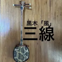 中国楽器 柳琴 琵琶Liuqin 本体 ハードケース付 - メルカリ