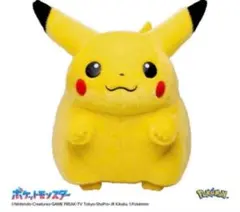 ポケットモンスター ポケモン30周年記念 おかえり！ピカチュウ1/1