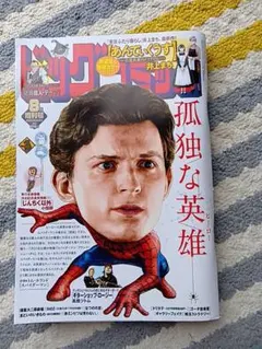 ビッグコミックオリジナル 8月増刊号