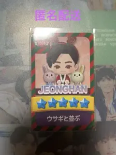 SEVENTEENセブチ NEW fc限定 ジョンハン パズチ トレカ