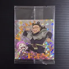 ワンピース大海賊シールウエハースLOG.13 くま&ボニー GR