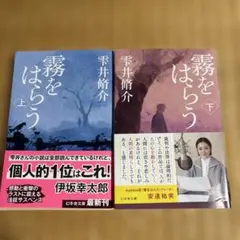 霧をはらう(上)（下)