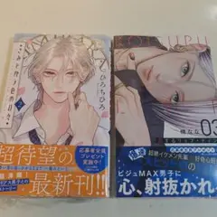 恋するリップ・ティント 3 　 きみとバラ色の日々 2