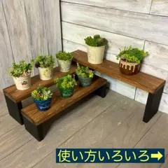 L14 多肉棚 フラワーラック　多肉植物　プランターラック　男前　鉢台