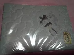 まどかマギカ ワルプルギスの廻天 パンフレット