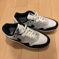Nike Air Max1 ナイキ エアマックス1