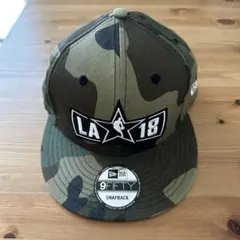 Item thumbnail for item 508b4d07-5899-4a4c-9fce-96f45ac88645