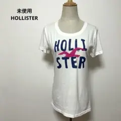 未使用 タグ付き HOLLISTER ホワイト 半袖Tシャツ Mサイズ
