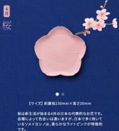【新品】サントリー 金麦 花やか皿 3枚セット 桜　さくらのサムネイル