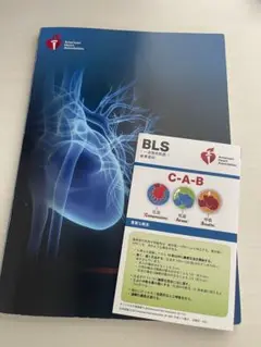 BLS 一次救命処置