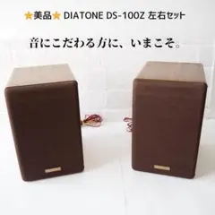 2025年最新】diatone DS-100Zの人気アイテム - メルカリ